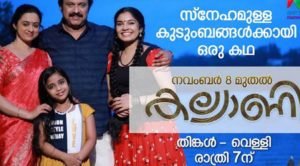 Kalyani Serial Cast, Story, Actor, Actress, Crew, Wiki