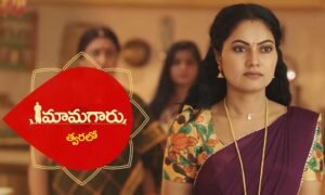 Maamagaru Serial (Star Maa) Cast, Story, Actress Real Name, Wiki