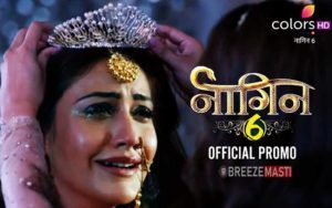 Naagin 6 Serial Cast, Crew, Actor, Actress, Story, Plot, Wiki