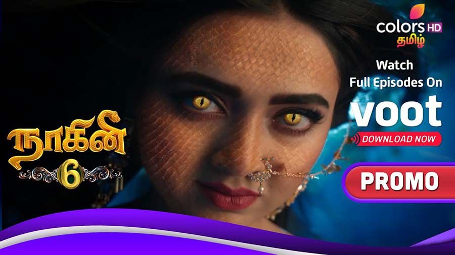 Naagini 6 Colors Tamil Serial Cast, Actor, Actress Name, Story, Wiki