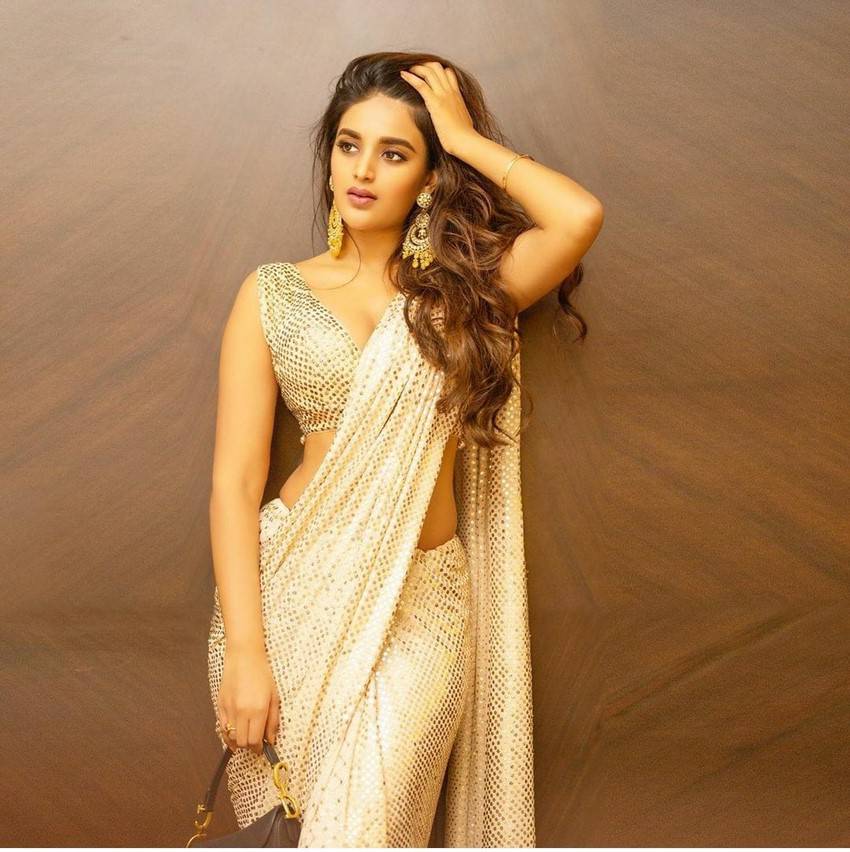 Nidhhi Agerwal Actress Saree Images