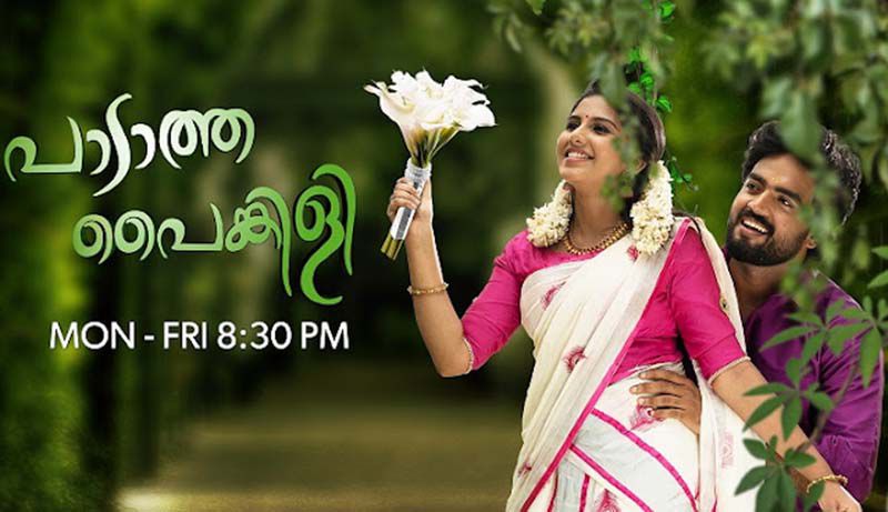 Paadatha Painkili Serial Cast, Actor, Actress, Story, Wiki
