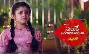 Paluke Bangaramayana Serial (Star Maa) Cast, Story, Actress Name, Wiki
