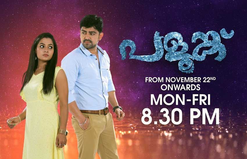 Palunku Serial Cast, Actress Name, Story, Wiki