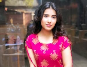 Sheena Bajaj Age, Family, Husband, Net Worth, Serial, Biography