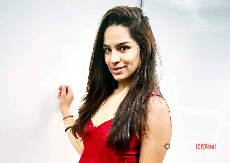 Shikha Singh Age, Family, Wiki, Husband, Serial, Biography - Breezemasti