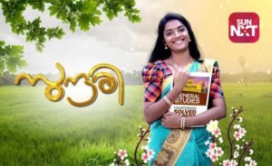 Sundari Malayalam Serial Cast, Actress, Story, Real Name, Wiki