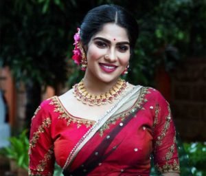 Swasika Vijay Age, Family, Husband, Serial, Biography