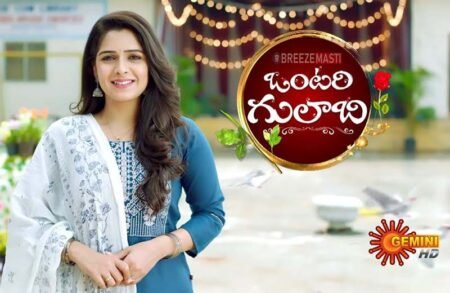 Vontari Gulabi Serial Cast, Actress, Story, Real Name, Wiki